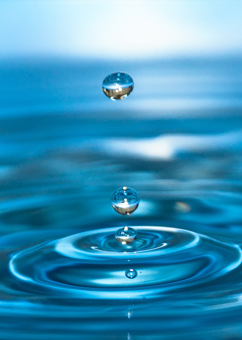 產(chǎn)品種類(lèi)多 